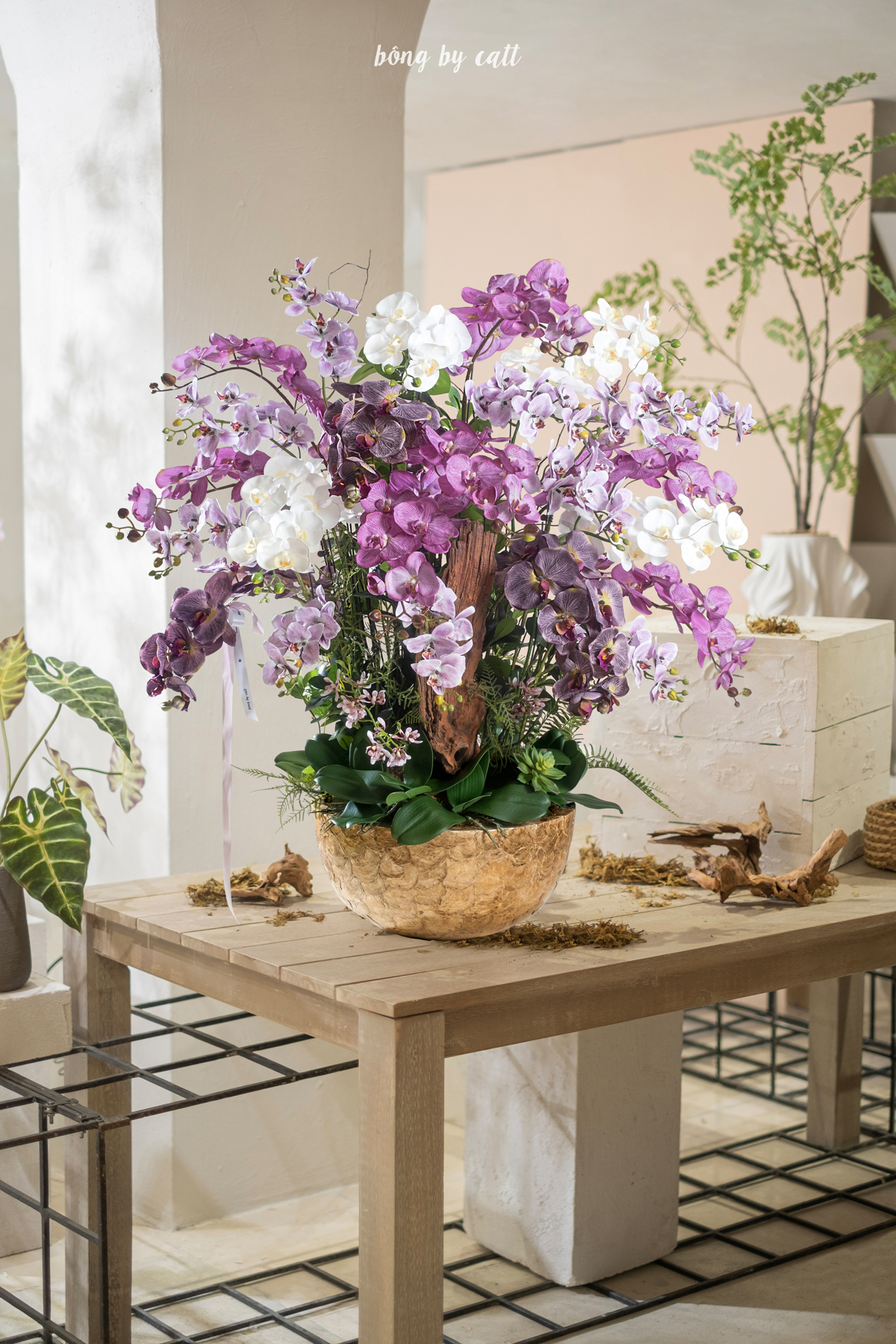 Orchid - Diệu Lan 27 - Mosaic