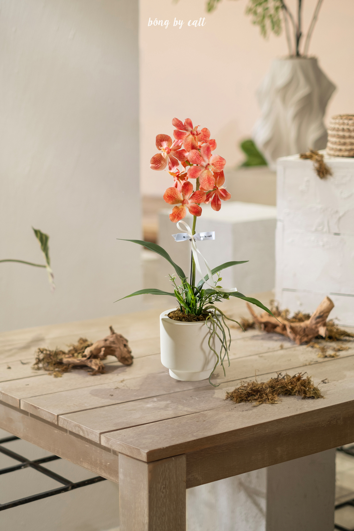 Orchid - Bảo Châu 1 - Gốm