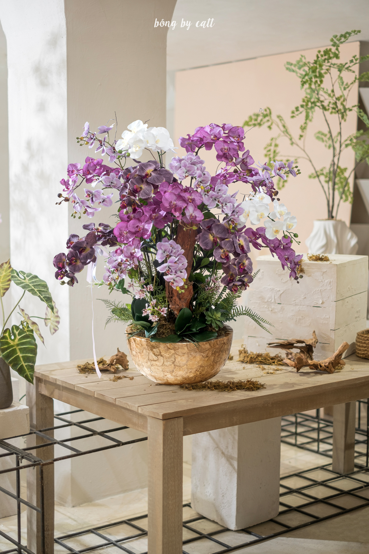 Orchid - Diệu Lan 21 - Mosaic