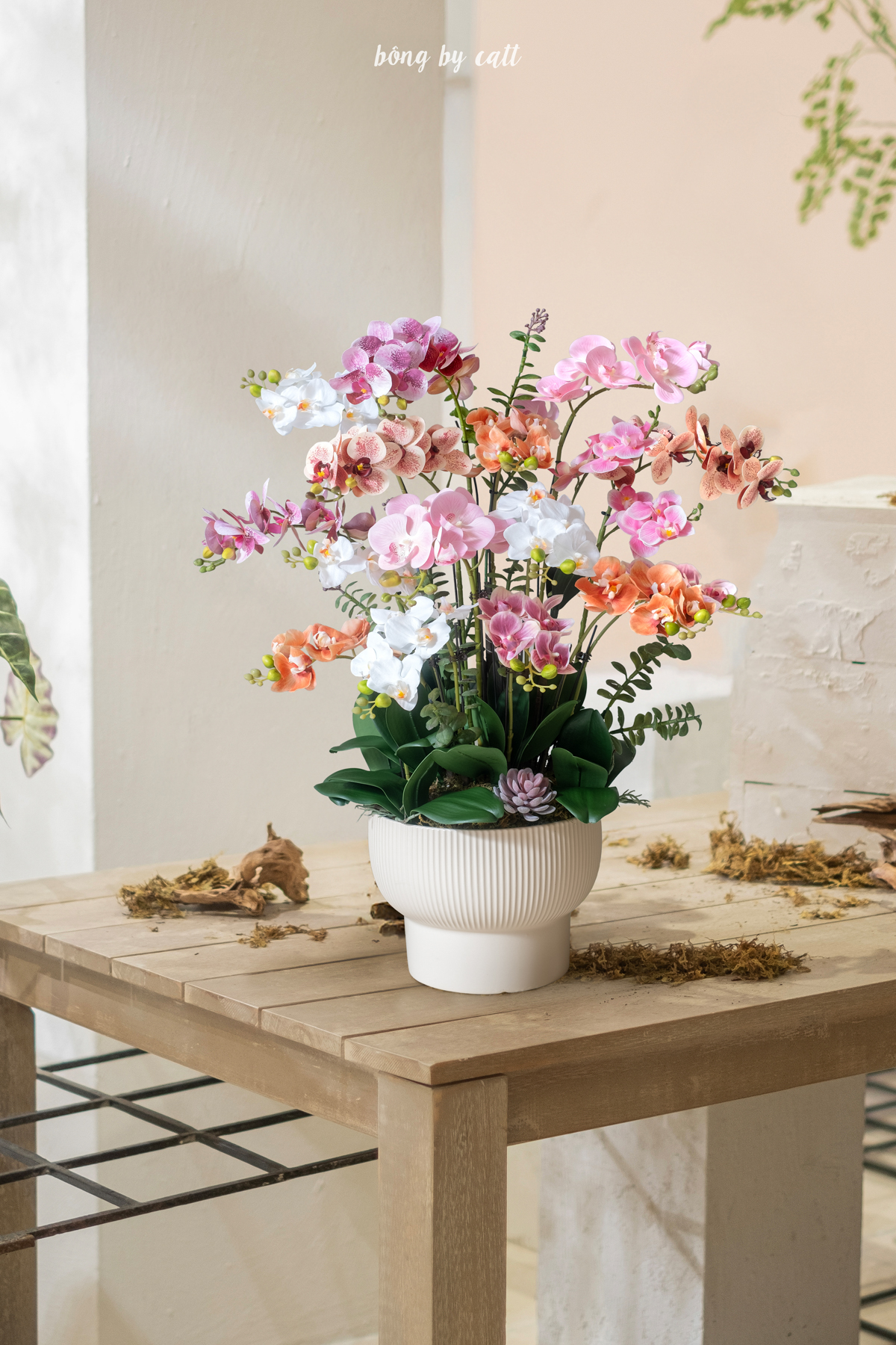 Orchid - Ngọc Viên 16 - Gốm