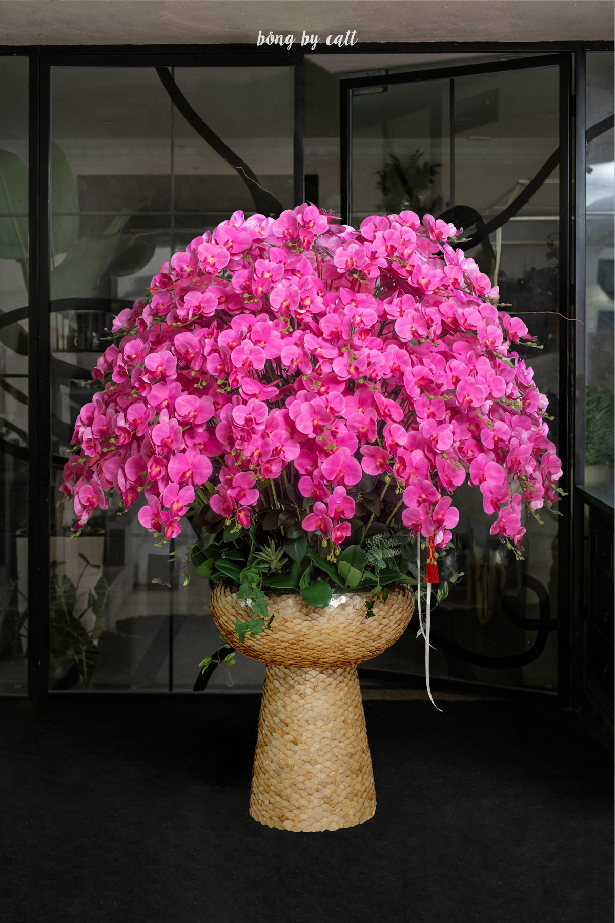 Orchid - Elite Hồng 100 - Ceramic