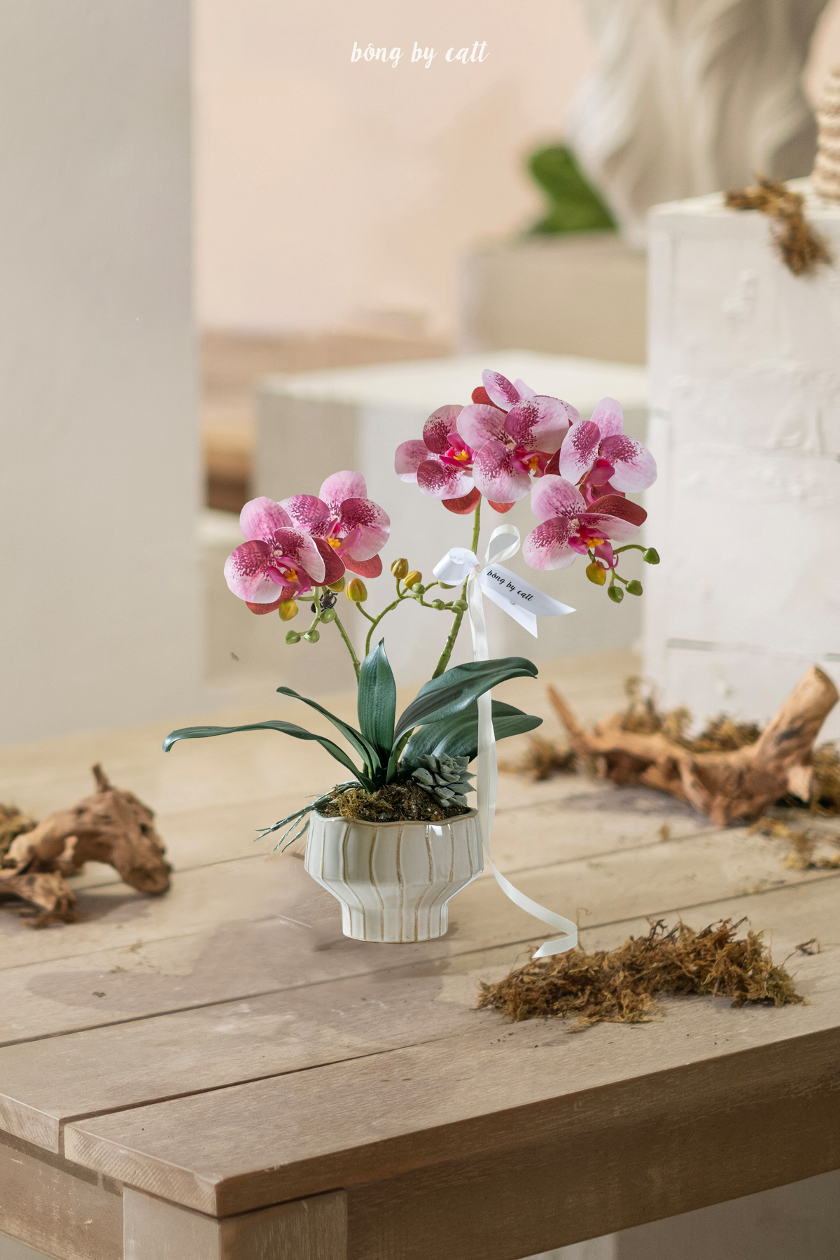 Orchid - An Phúc 2 - Gốm
