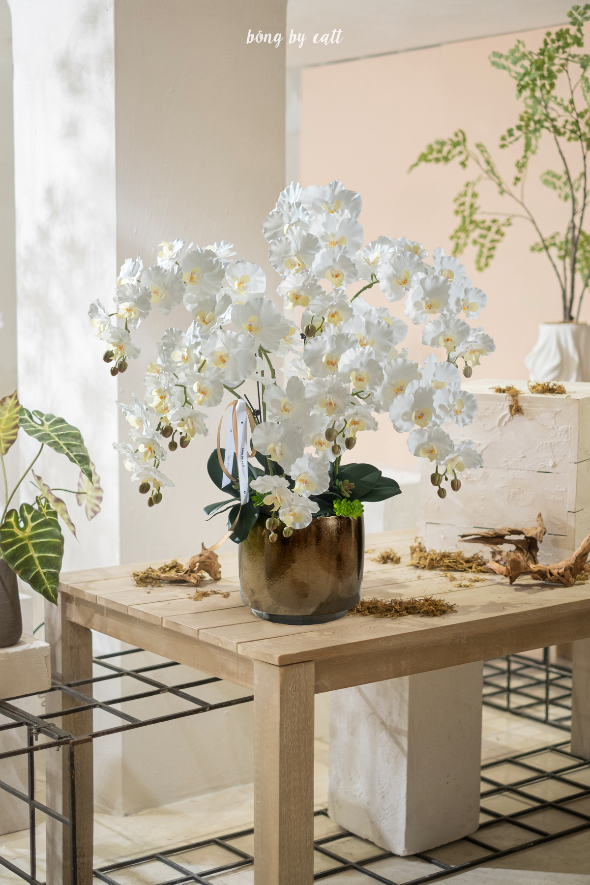Orchid - An Nhiên 8 - Gốm