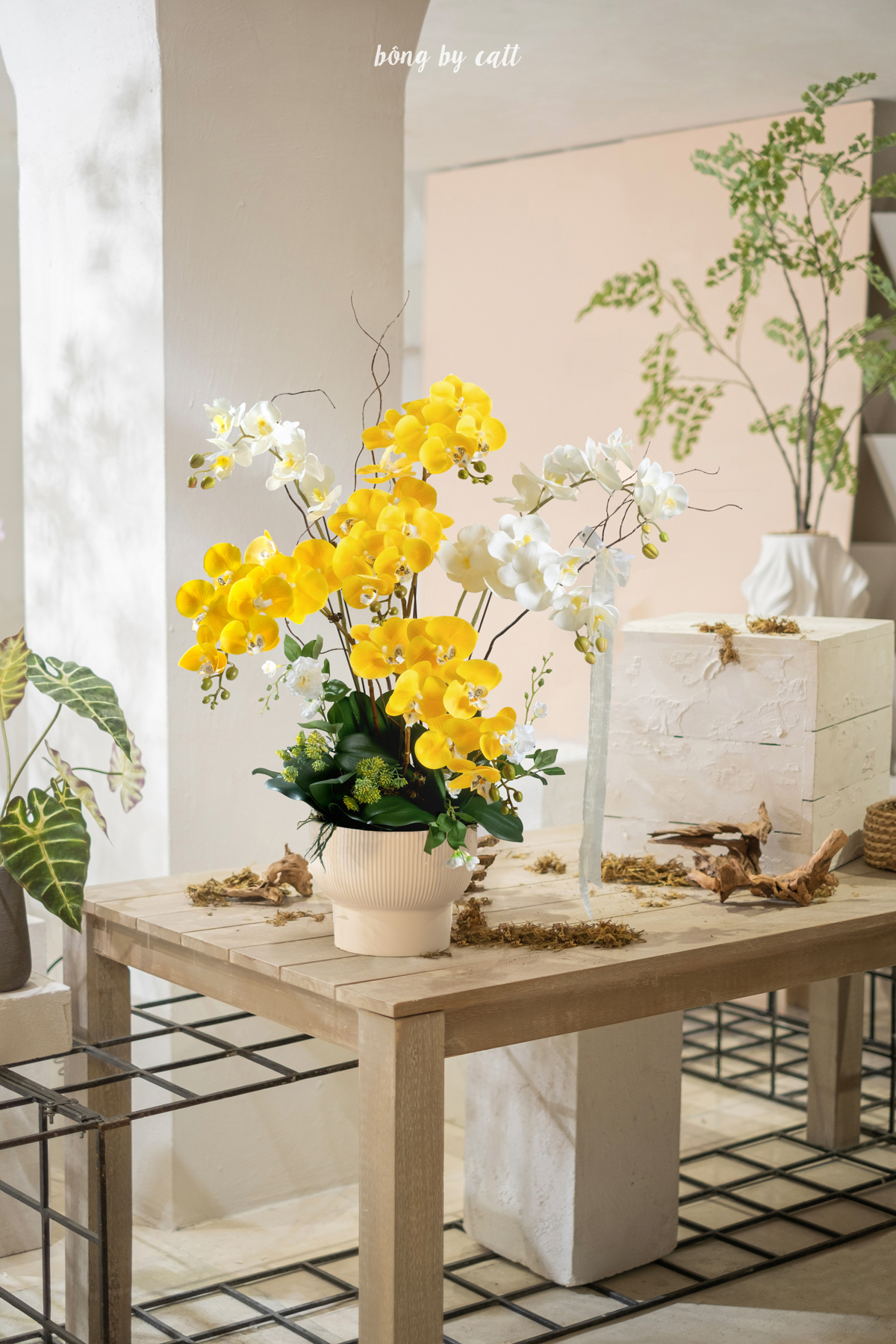 Orchid - Minh Viên 7 - Gốm