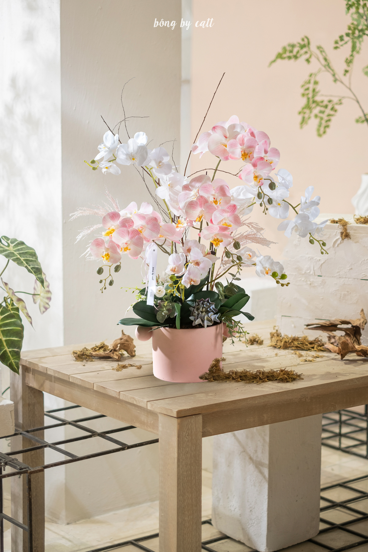 Orchid - Gia Phúc 7 - Gốm