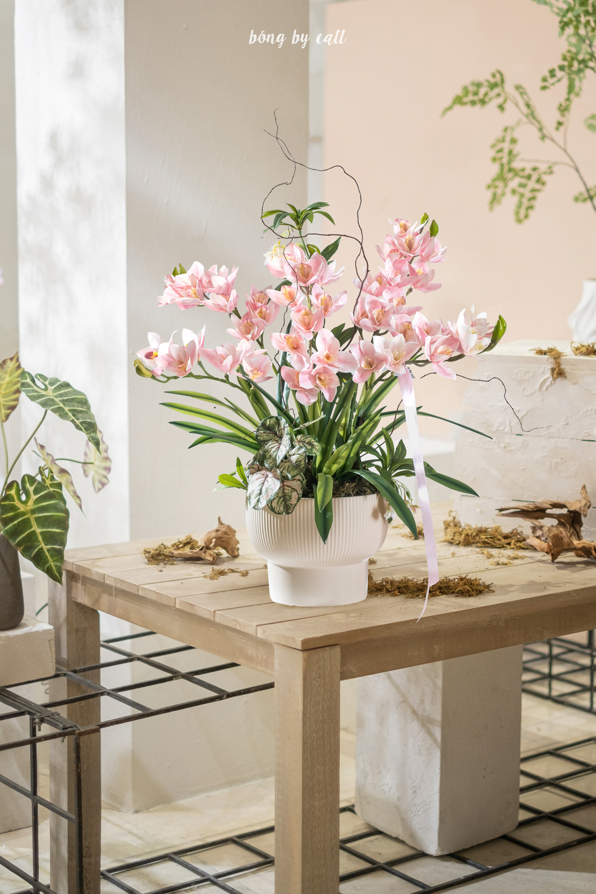 Orchid - Thanh Lan 5 - Gốm