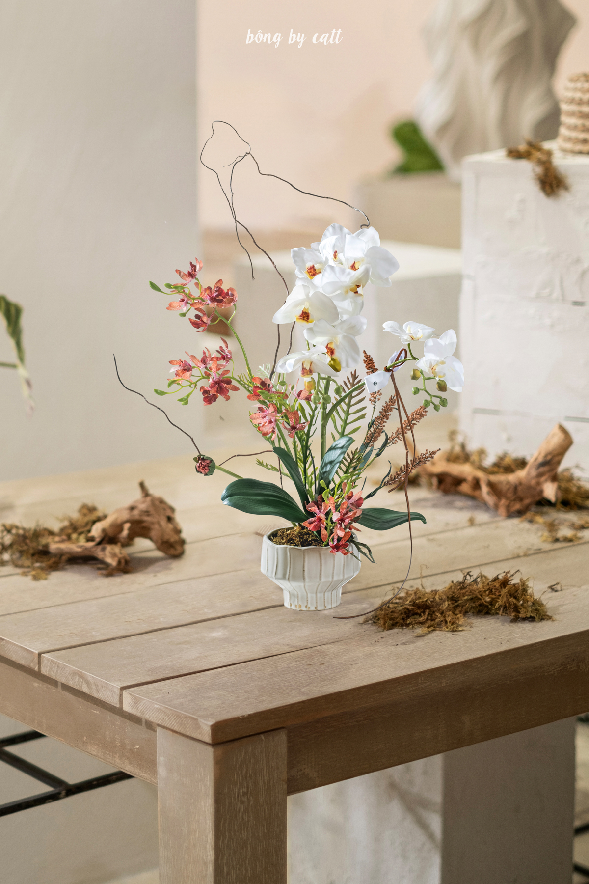 Orchid - Diệu Lan 4 - Gốm