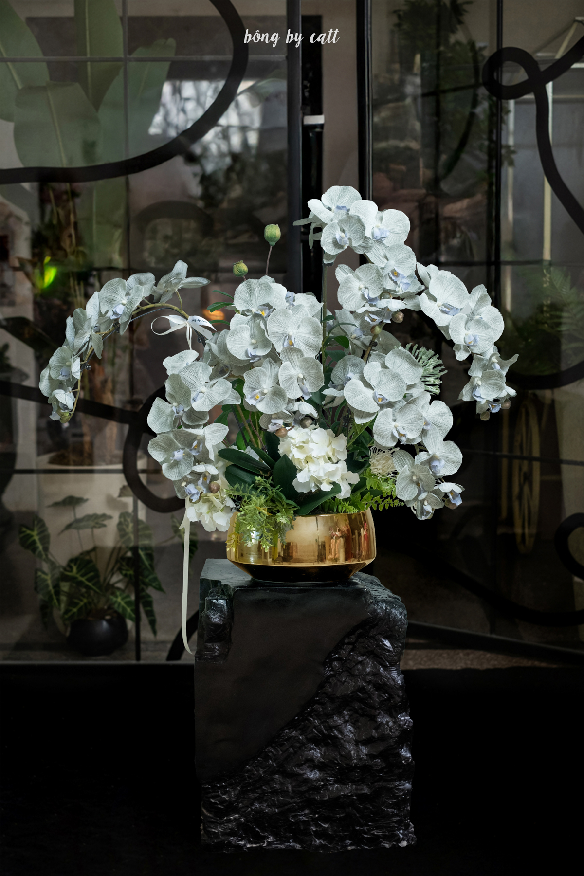 Orchid - Noble 7 - Gold