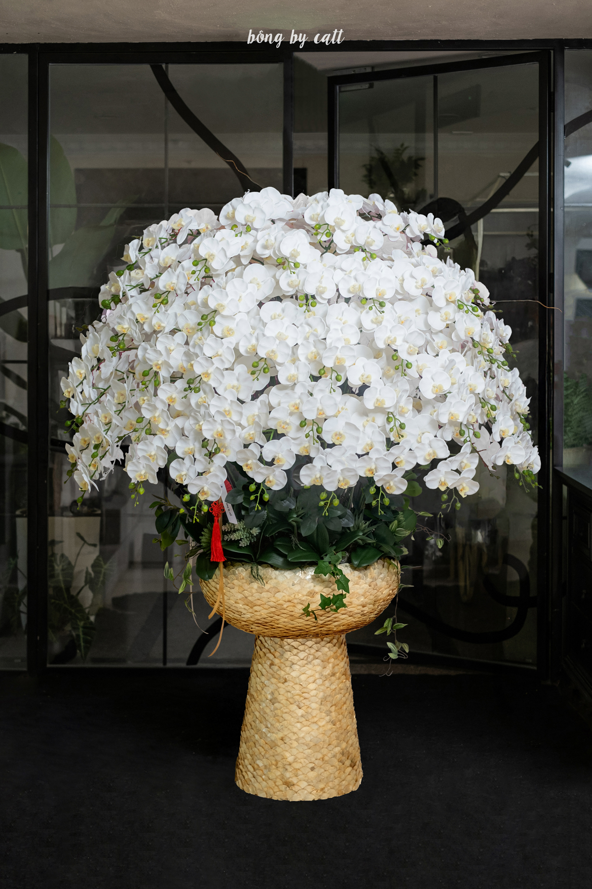 Orchid - Elite Trắng 100 - Ceramic