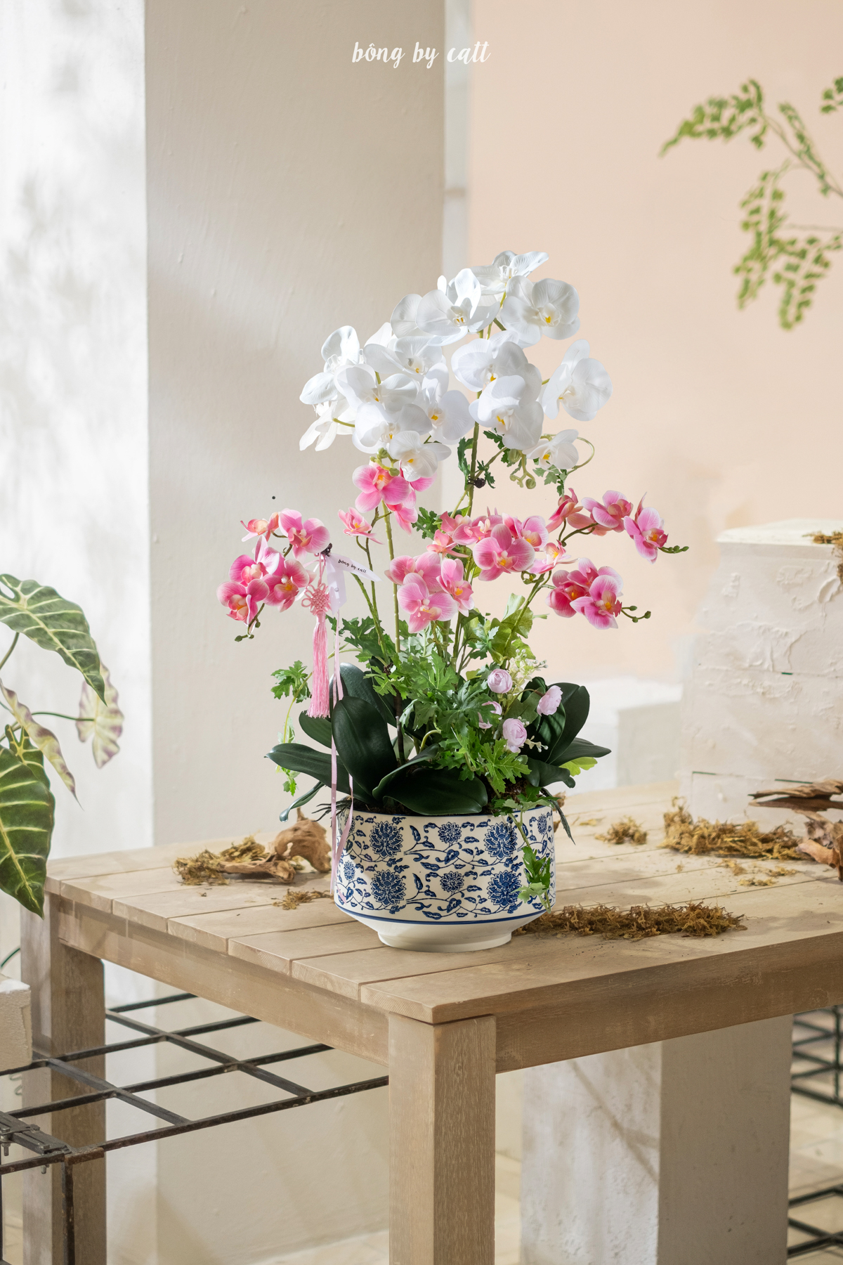 Orchid - Ngọc Lan 5 - Gốm
