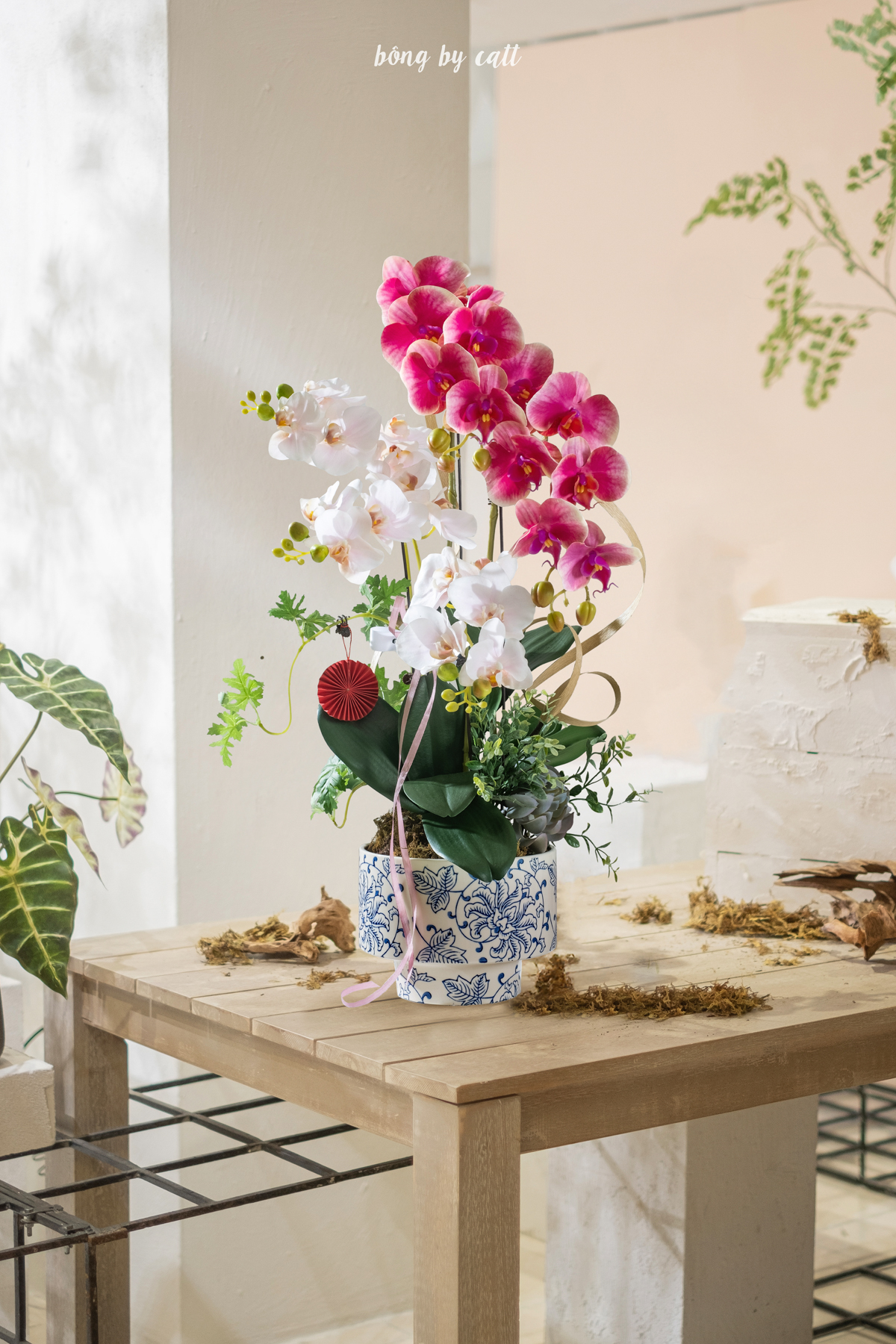 Orchid - Diệu Lan 5 - Gốm