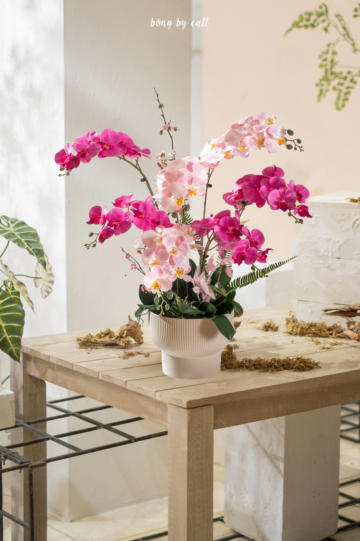 Orchid - Phúc An 7 - Gốm
