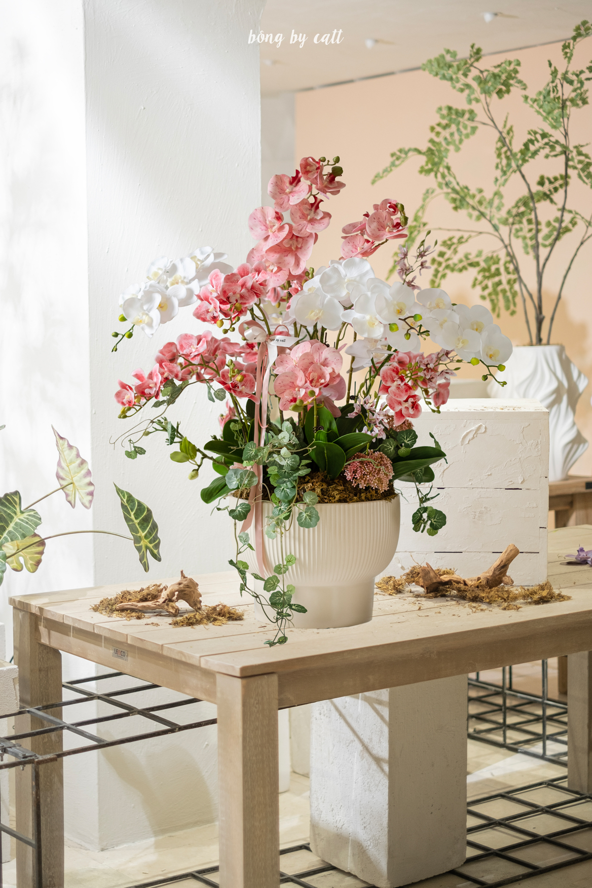 Orchid - Mỹ Cảnh 21.2 - Ceramic