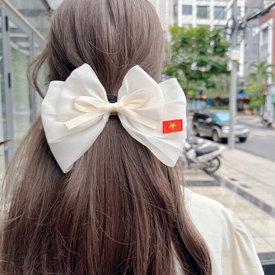 Kẹp nơ tag Việt Nam 4547