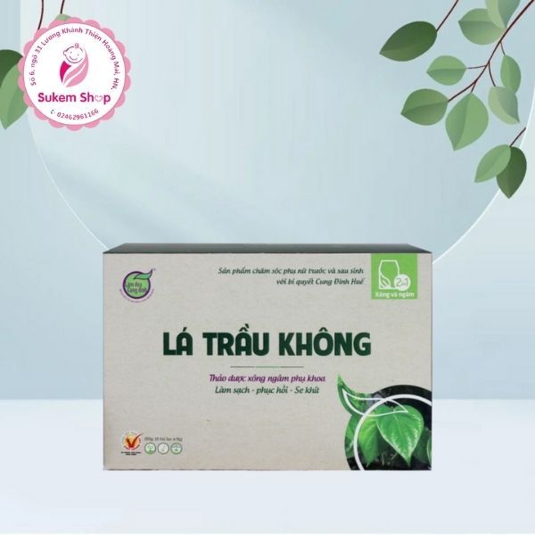 Lá trầu không Bảo Nhiên