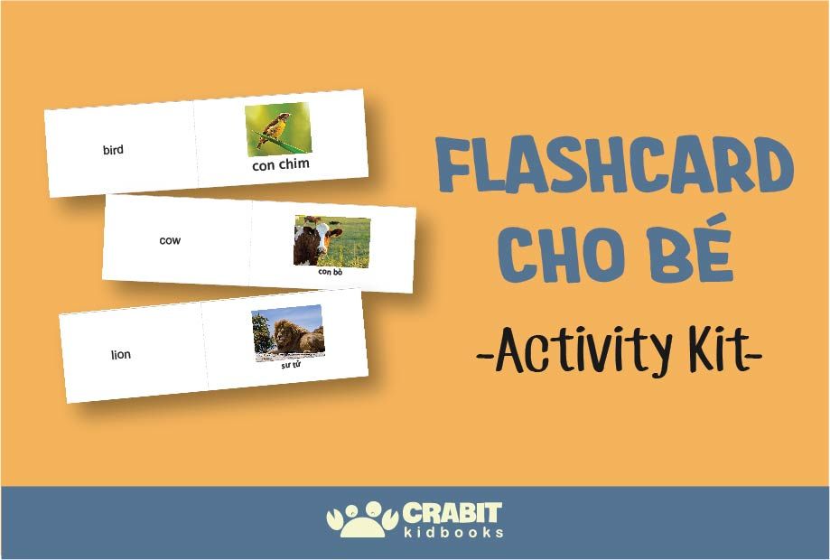 Activity Kit - Flashcard cho bé