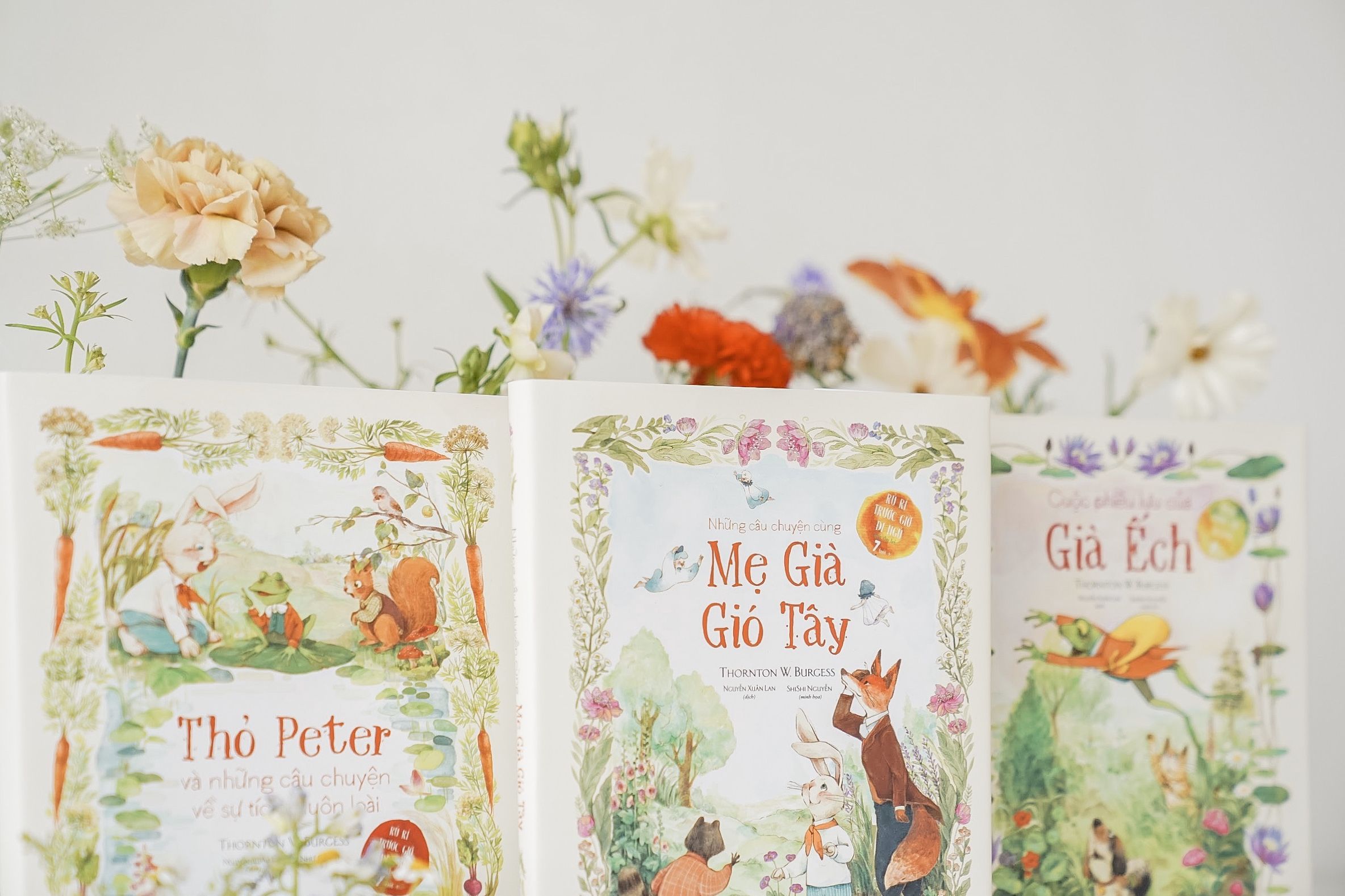 Mẹ già Gió Tây, Thỏ Peter, Già Ếch – Những nhân vật tạo nên ký ức tuổi thơ tuyệt vời