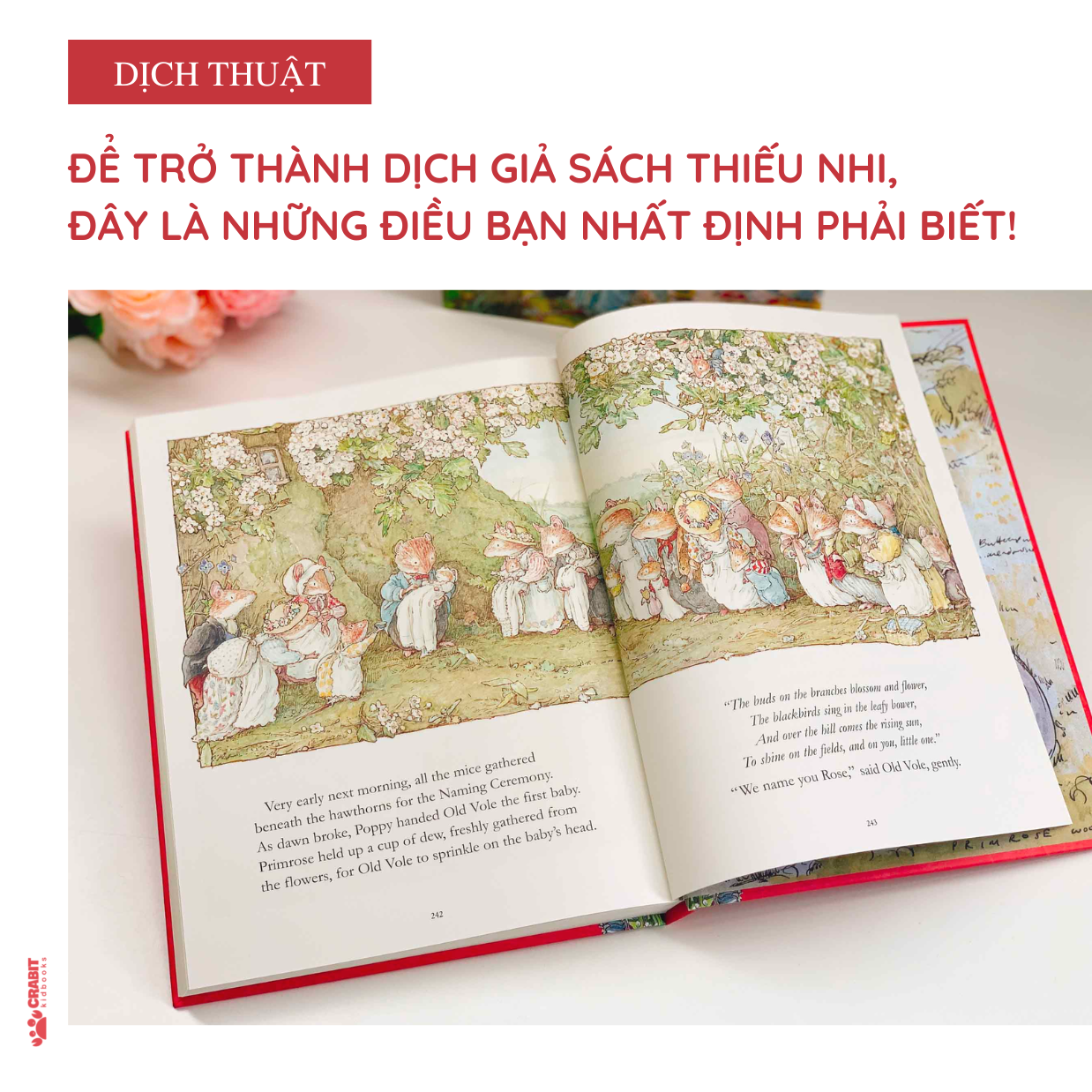ĐỂ TRỞ THÀNH DỊCH GIẢ SÁCH THIẾU NHI, ĐÂY LÀ NHỮNG ĐIỀU BẠN NHẤT ĐỊNH PHẢI BIẾT!