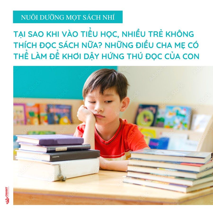 Vì sao em thích đọc sách? Những lý do khiến việc đọc trở nên hấp dẫn