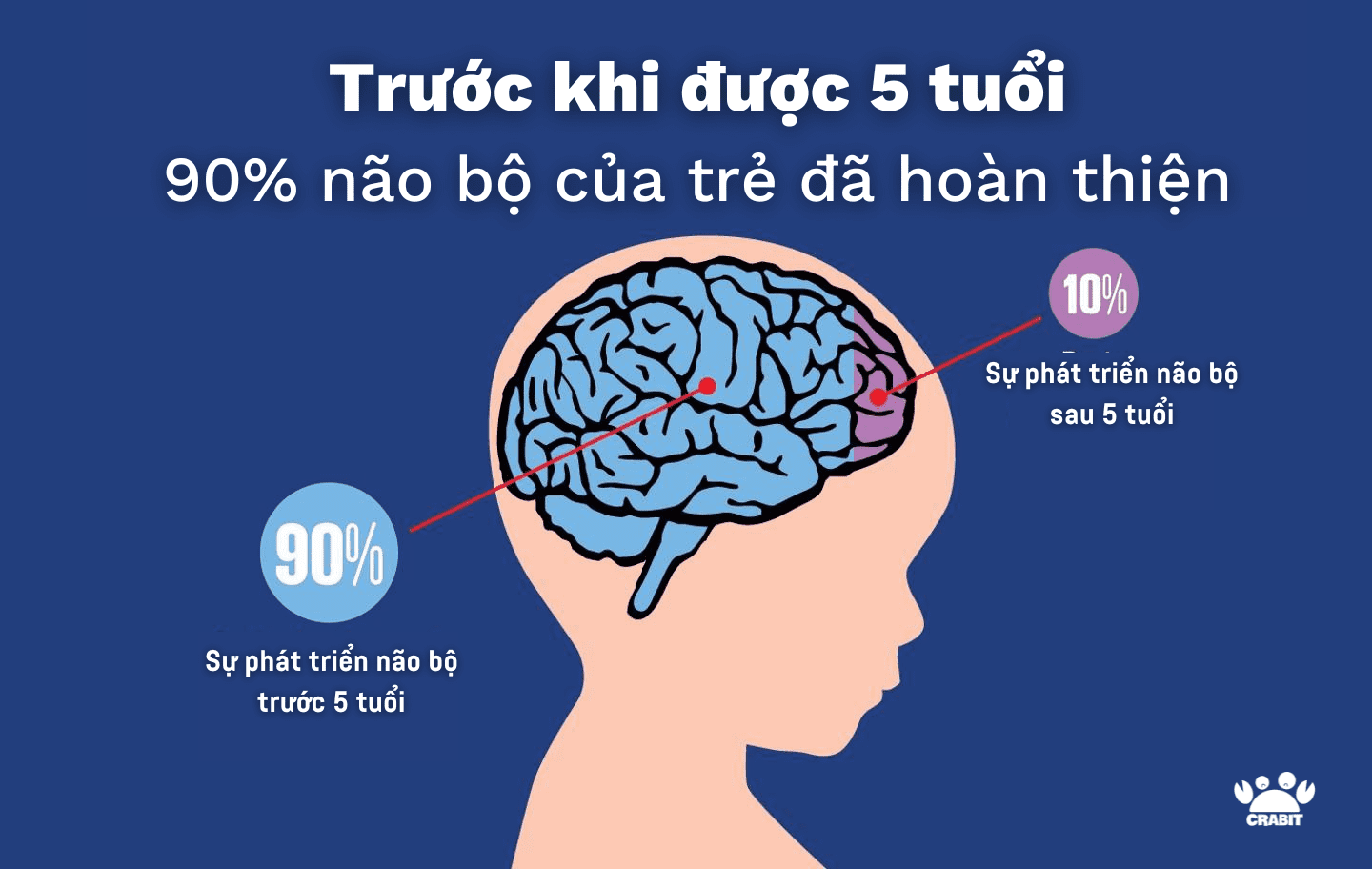 ĐỌC SÁCH - KHỞI ĐẦU LÀNH MẠNH CHO BỘ NÃO