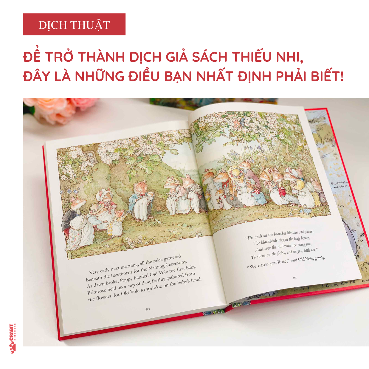 [Tip dịch sách] ĐỂ TRỞ THÀNH DỊCH GIẢ SÁCH THIẾU NHI, ĐÂY LÀ NHỮNG ĐIỀU BẠN NHẤT ĐỊNH PHẢI BIẾT!