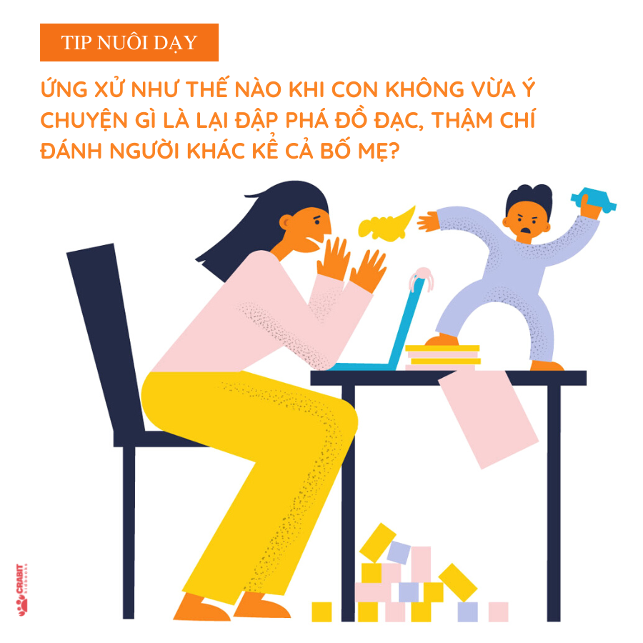 [Tip nuôi dạy] Ứng xử như thế nào khi con không vừa ý chuyện gì là lại đập phá đồ đạc