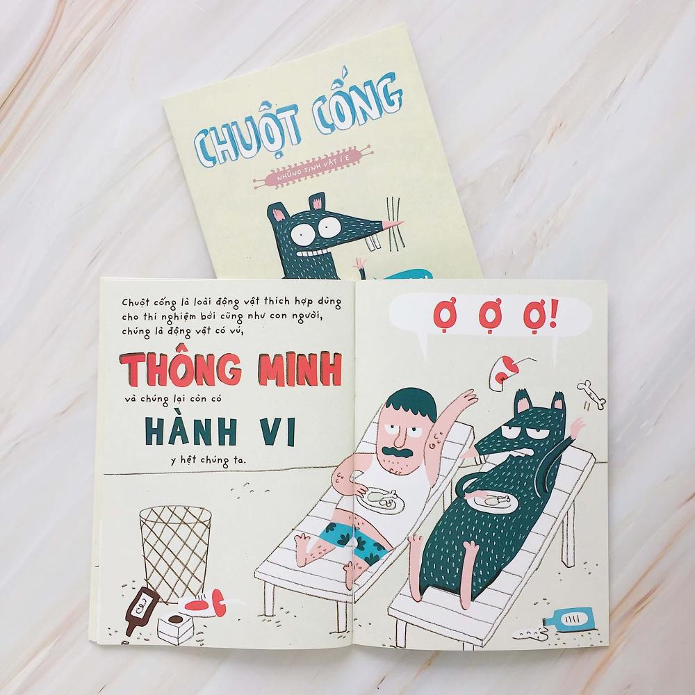 Những sinh vật í ẹ - Chuột cống