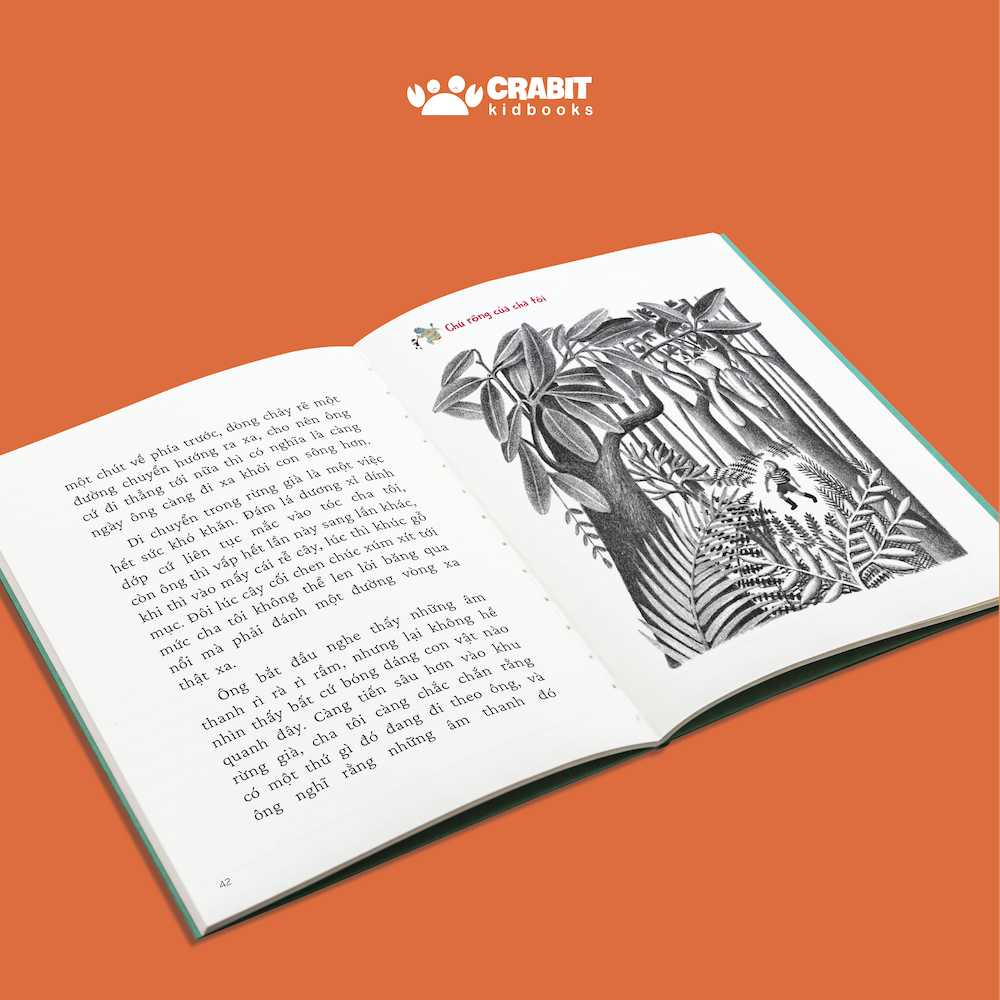 Bộ 2 cuốn