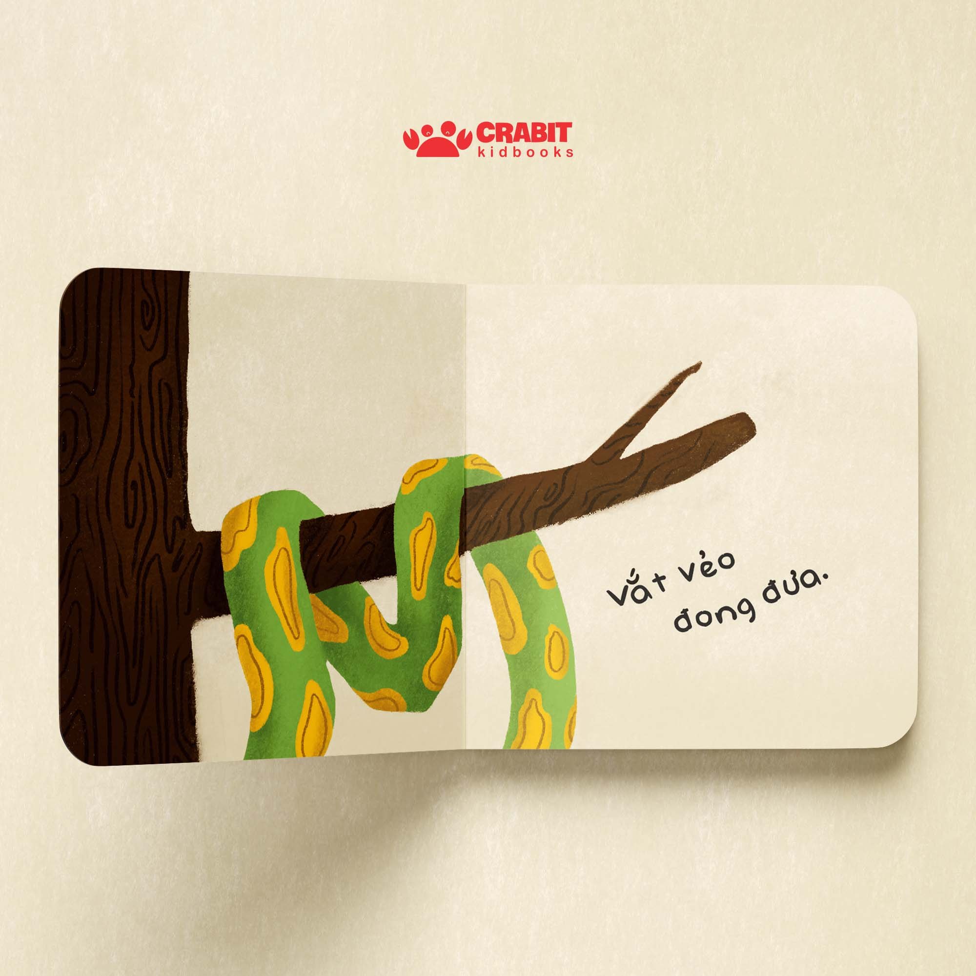 Đoán xem ai nào? - Bộ sách lật mở phán đoán (4 cuốn)