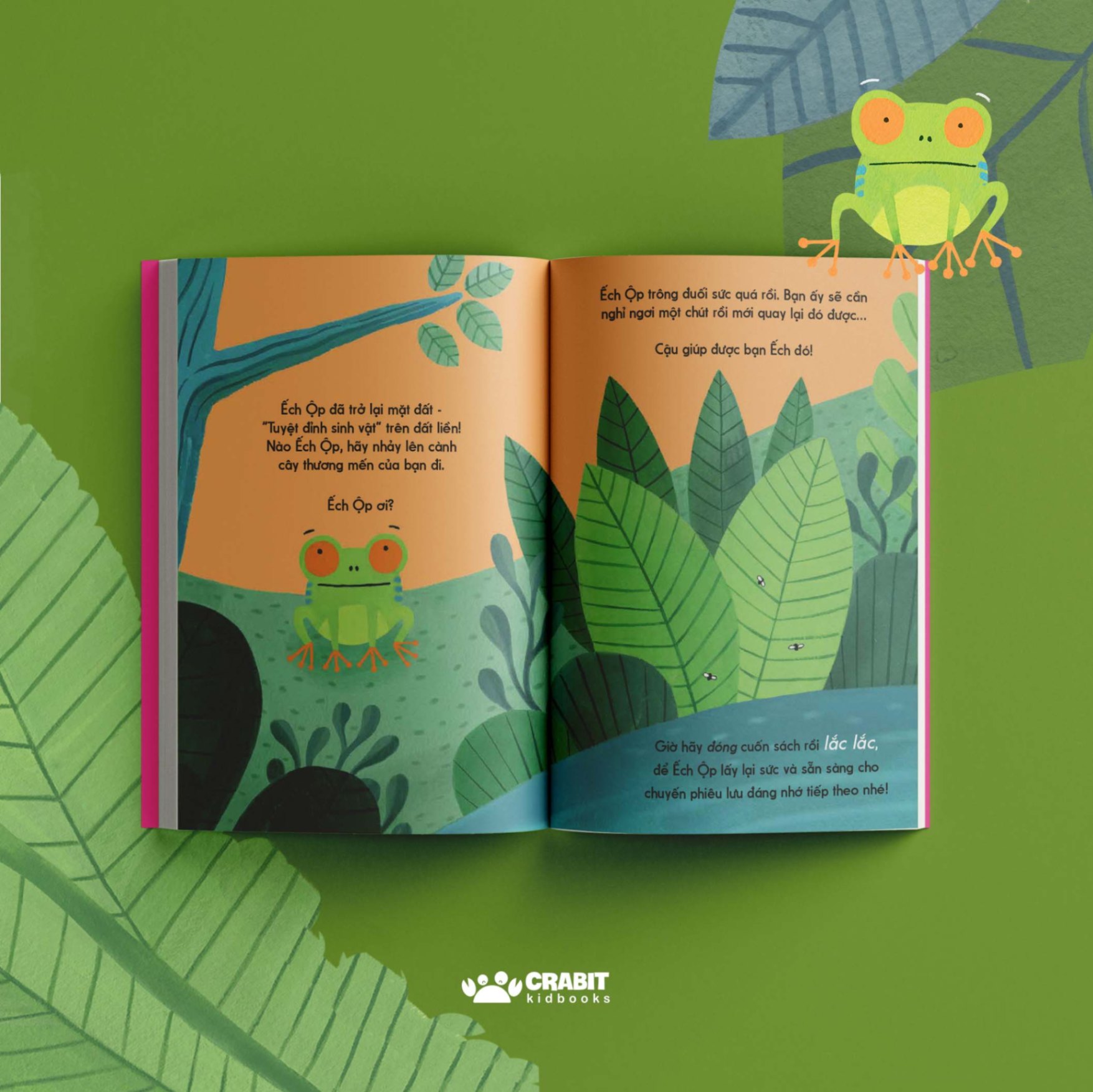 Bộ sách Đây là - Tương tác khám phá thiên nhiên (3 cuốn)