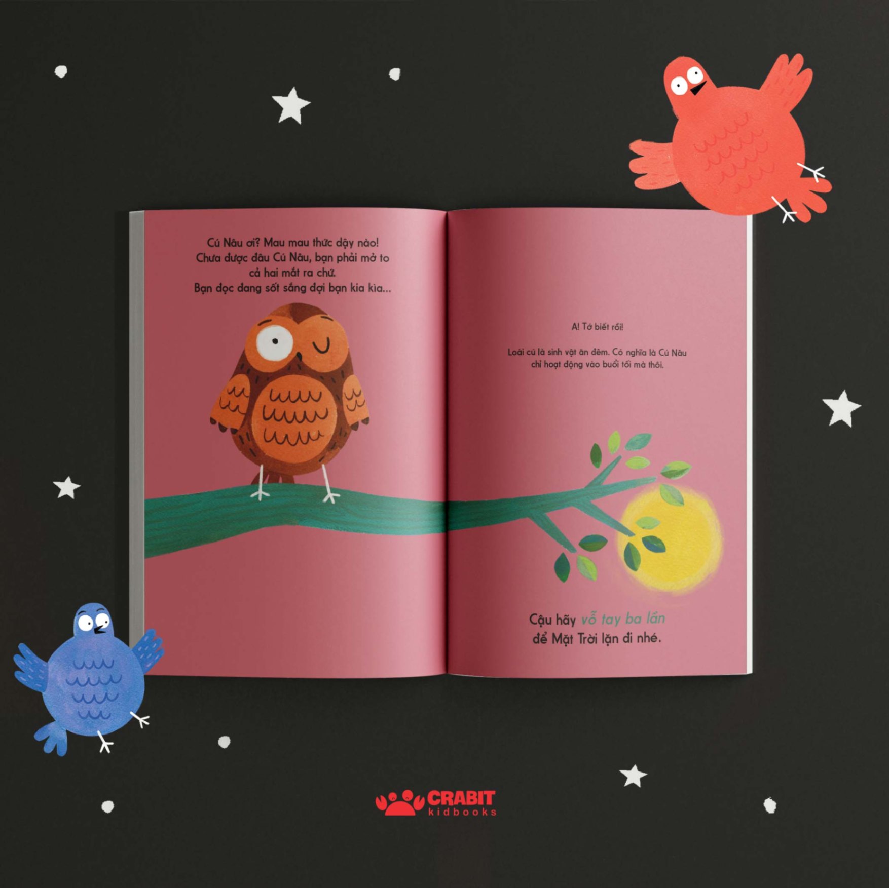 Bộ sách Đây là - Tương tác khám phá thiên nhiên (3 cuốn)