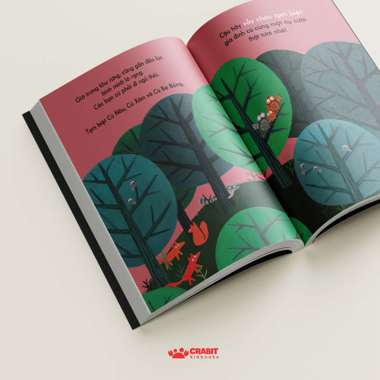 Bộ sách Đây là - Tương tác khám phá thiên nhiên (3 cuốn)