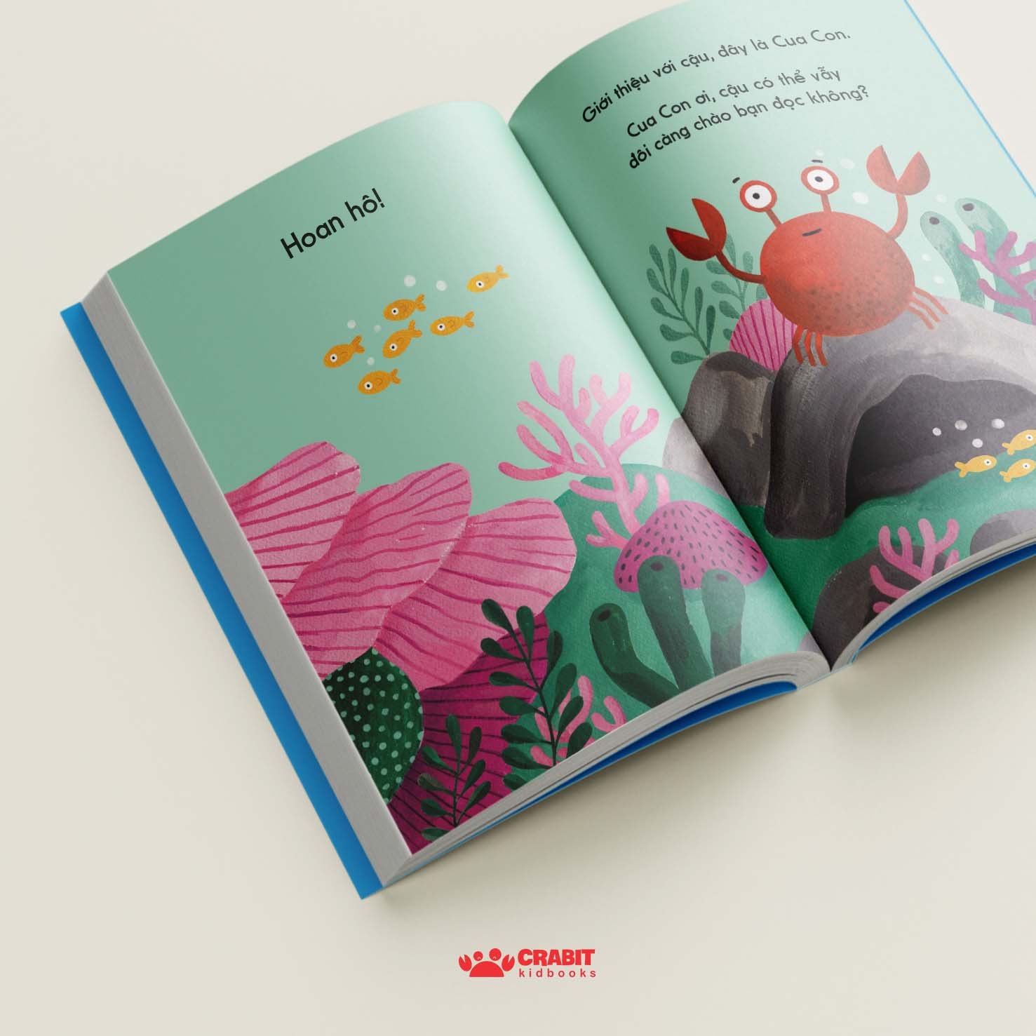 Bộ sách Đây là - Tương tác khám phá thiên nhiên (3 cuốn)