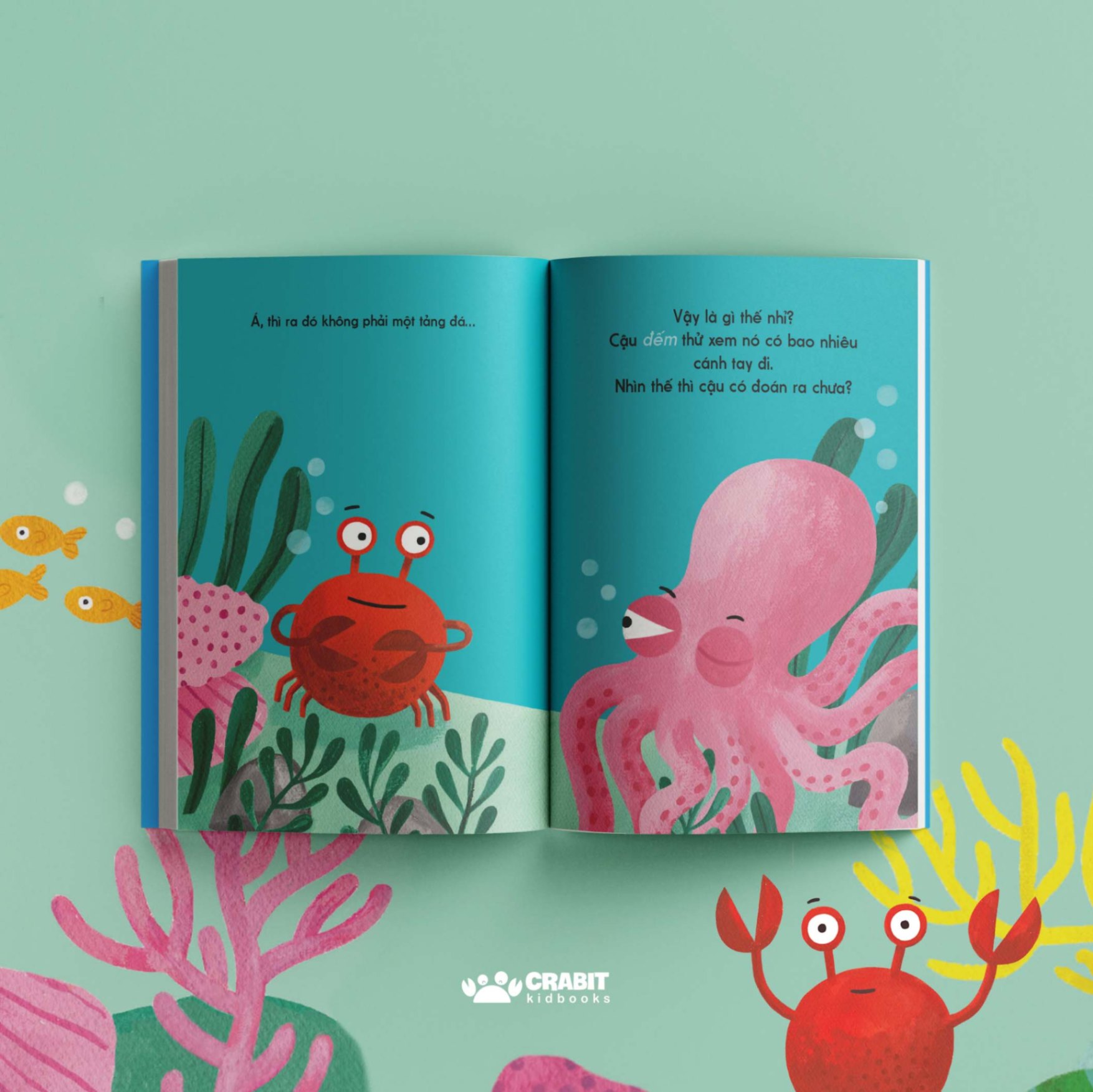 Bộ sách Đây là - Tương tác khám phá thiên nhiên (3 cuốn)