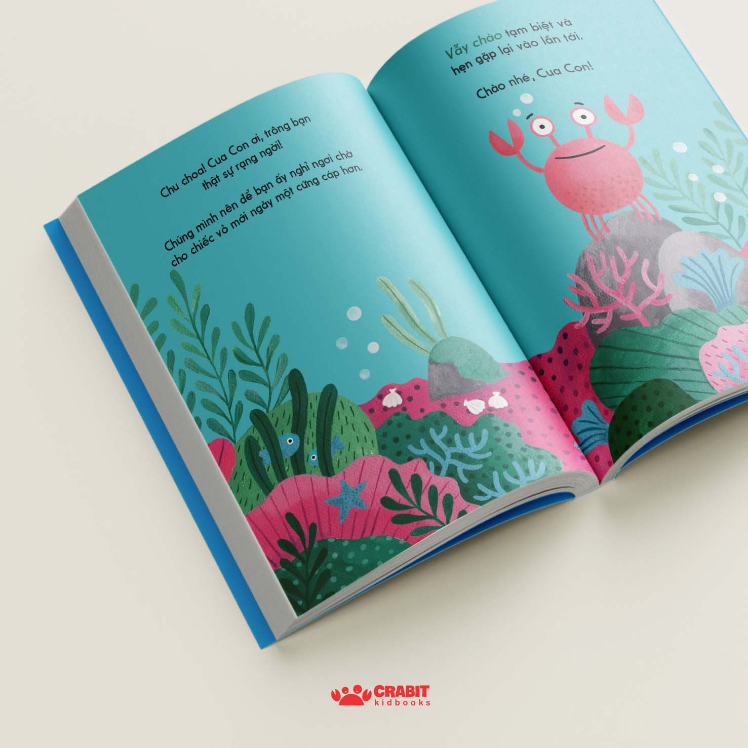 Bộ sách Đây là - Tương tác khám phá thiên nhiên (3 cuốn)