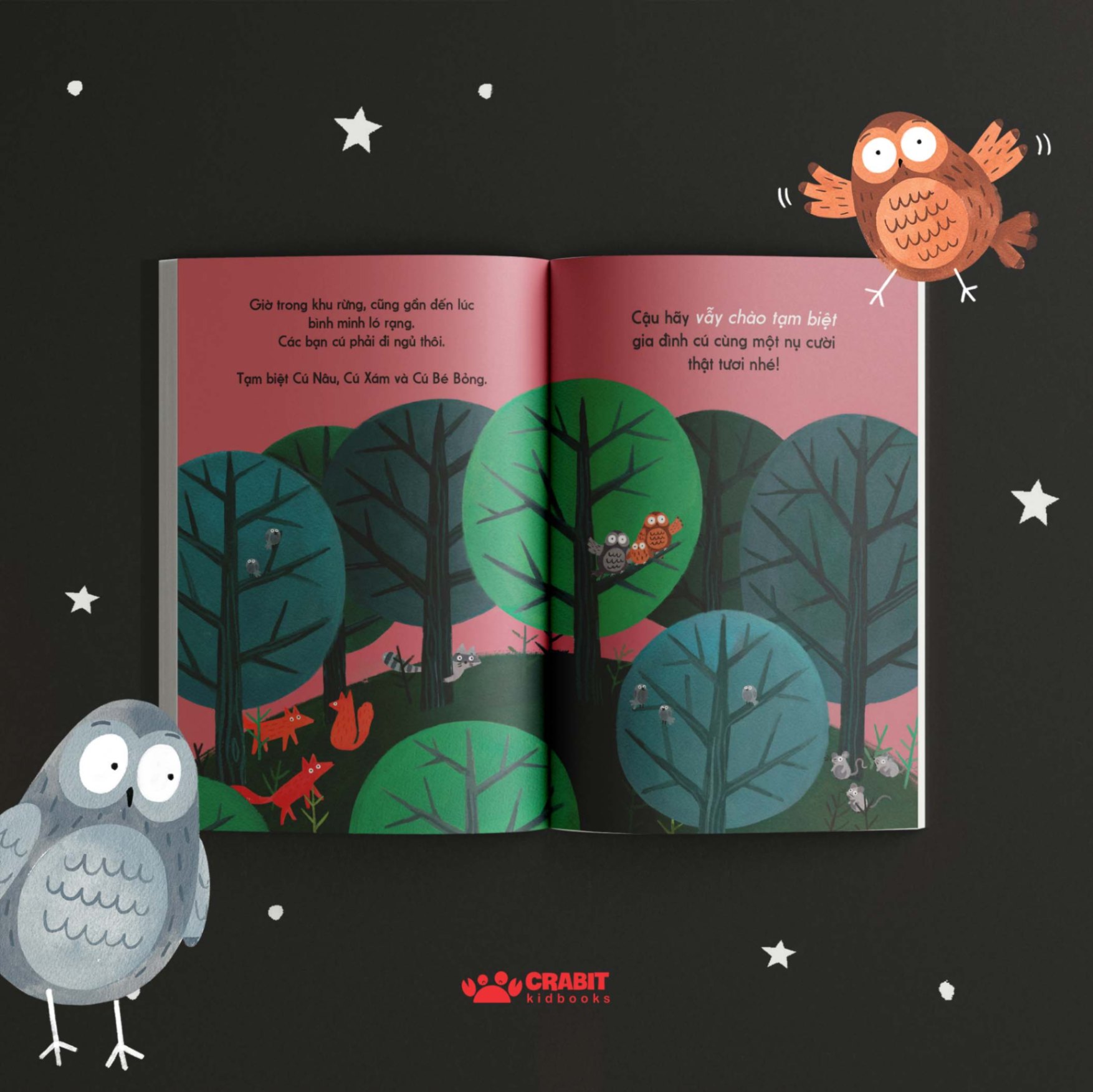 Bộ sách Đây là - Tương tác khám phá thiên nhiên (3 cuốn)