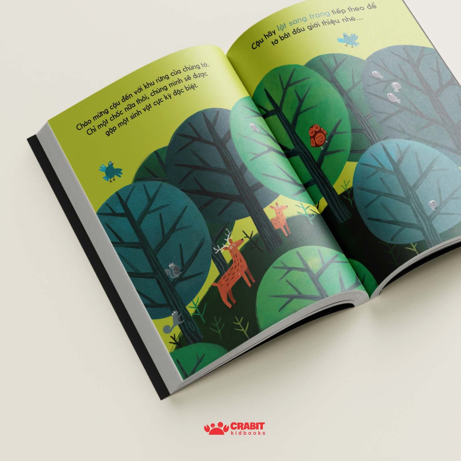 Bộ sách Đây là - Tương tác khám phá thiên nhiên (3 cuốn)