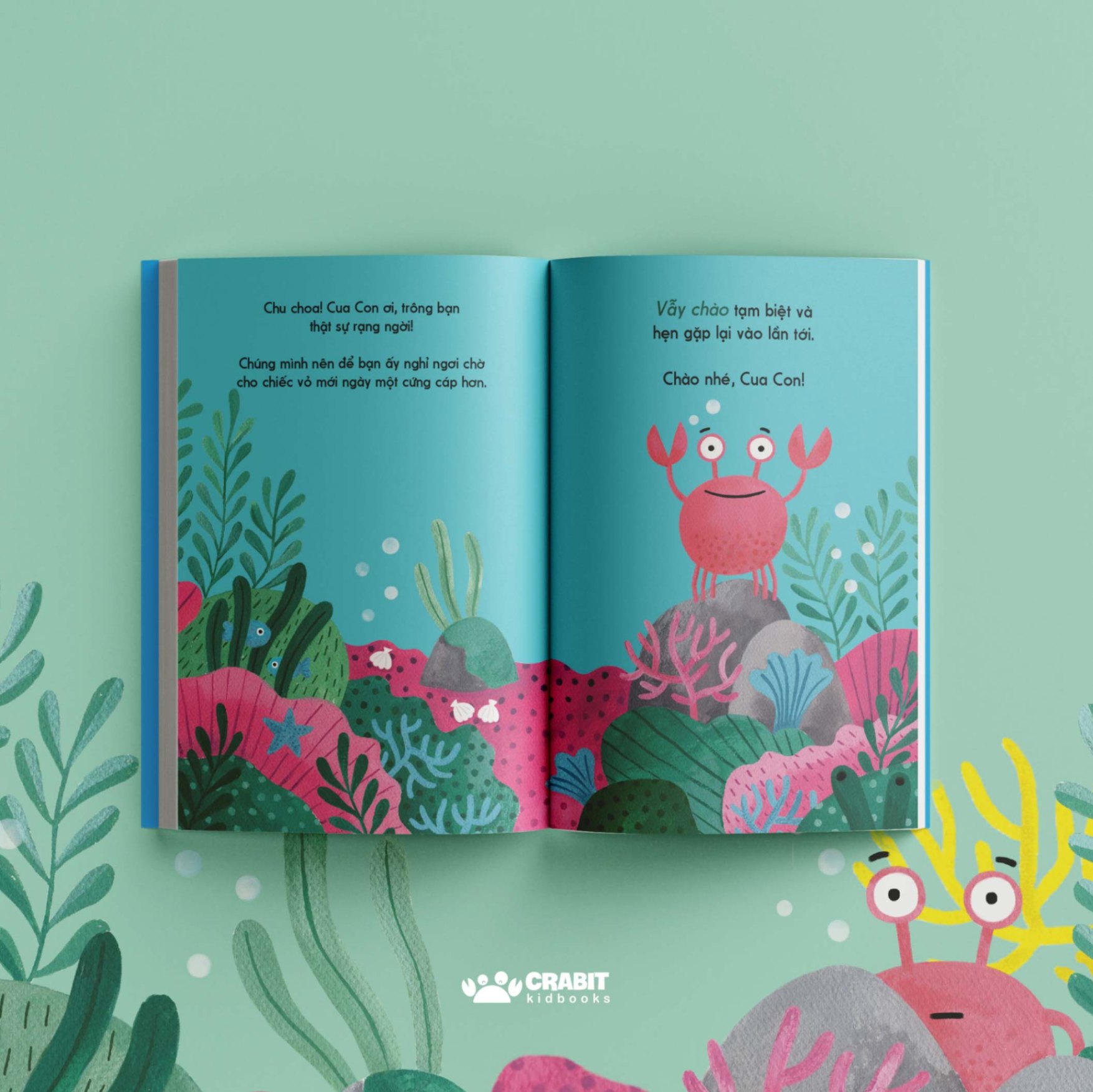 Bộ sách Đây là - Tương tác khám phá thiên nhiên (3 cuốn)