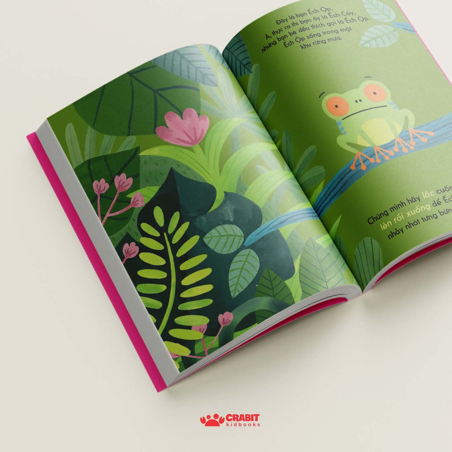 Bộ sách Đây là - Tương tác khám phá thiên nhiên (3 cuốn)