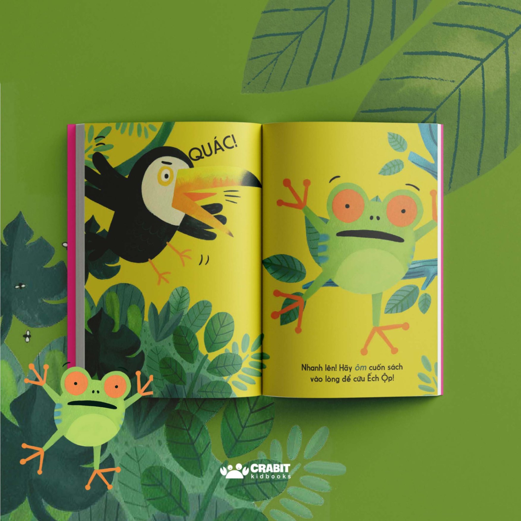 Bộ sách Đây là - Tương tác khám phá thiên nhiên (3 cuốn)