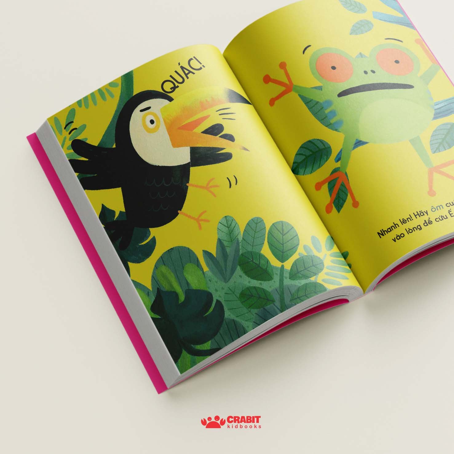 Bộ sách Đây là - Tương tác khám phá thiên nhiên (3 cuốn)