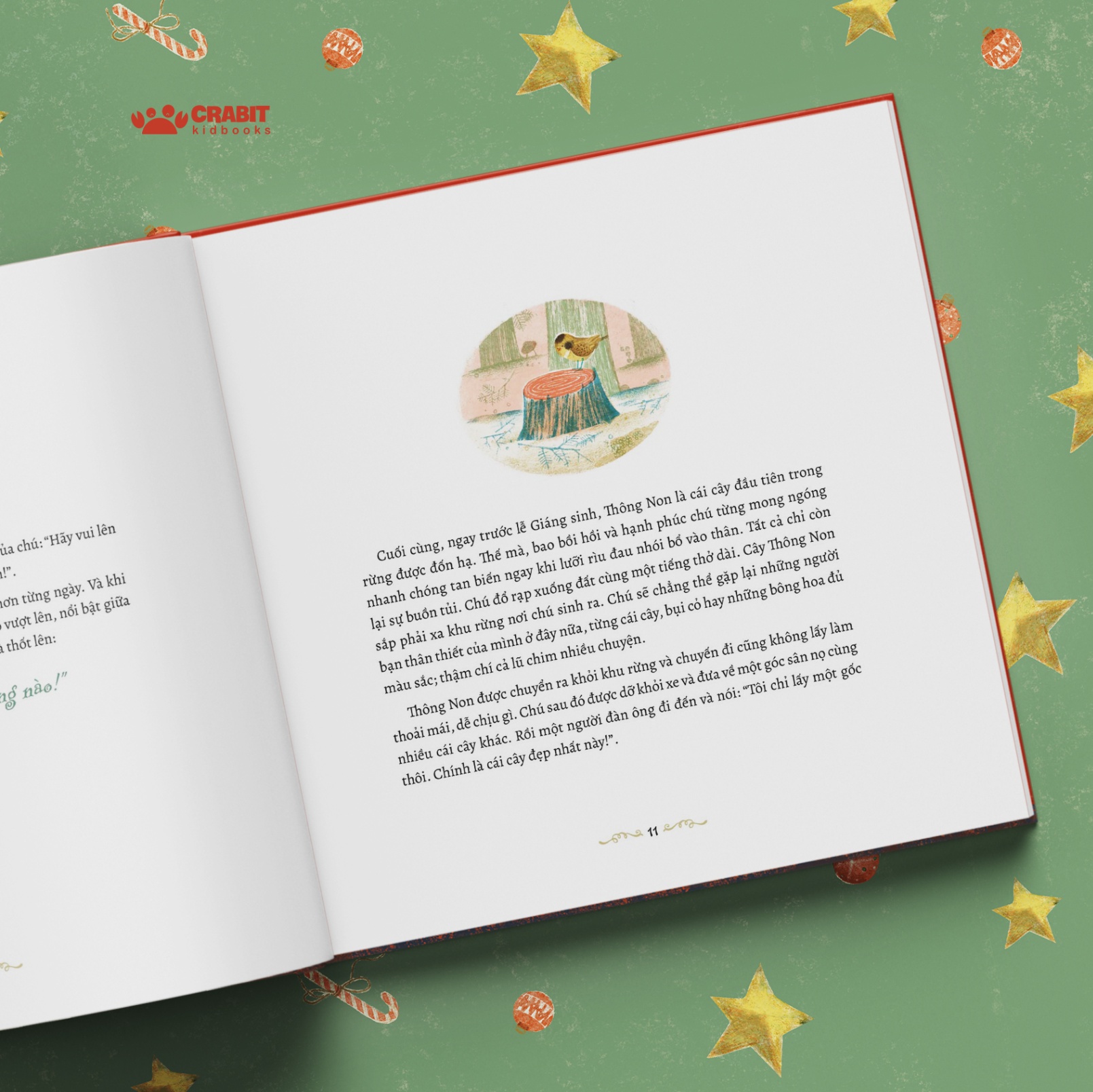 Chuyện cây thông non