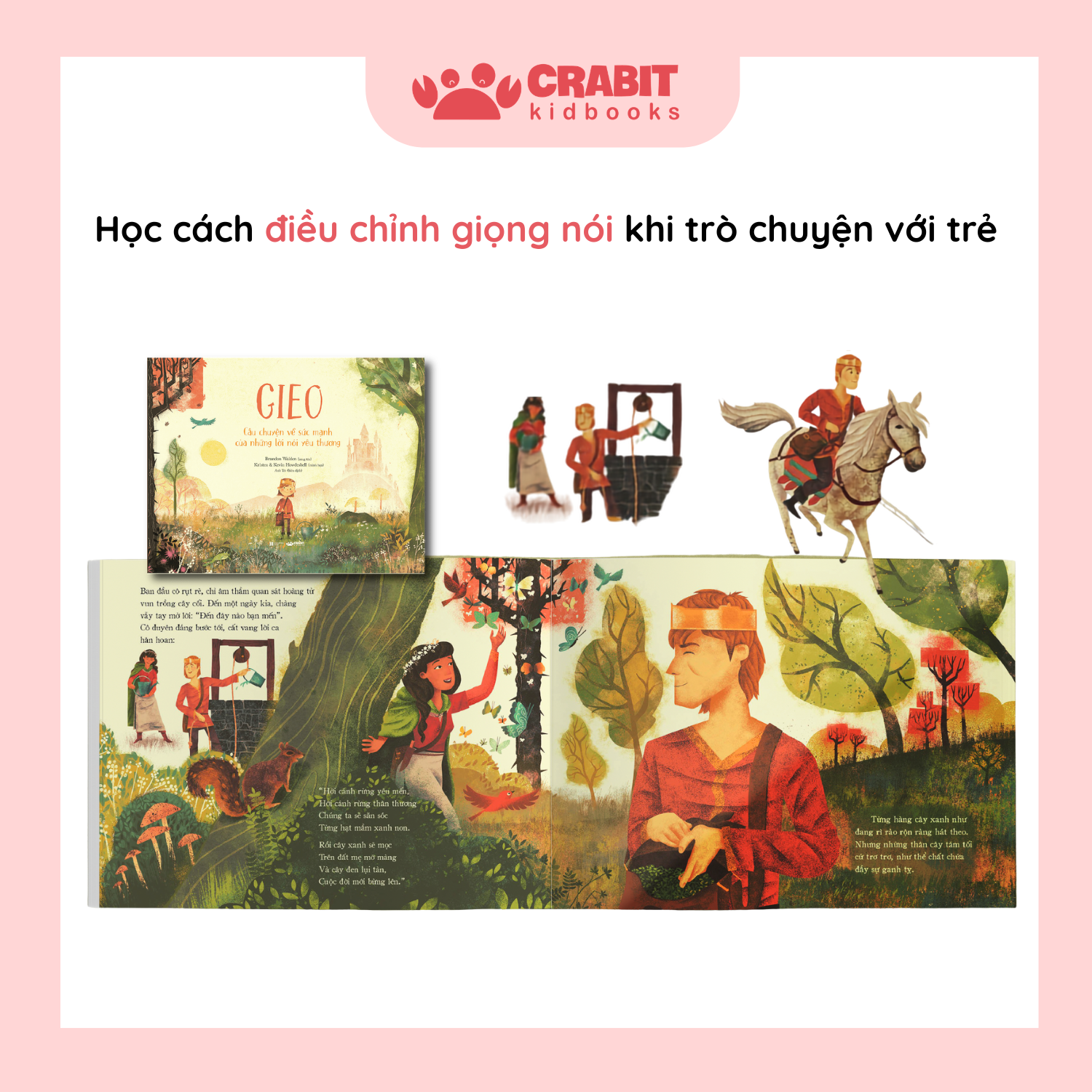 COMBO KỶ LUẬT MỀM MẠI