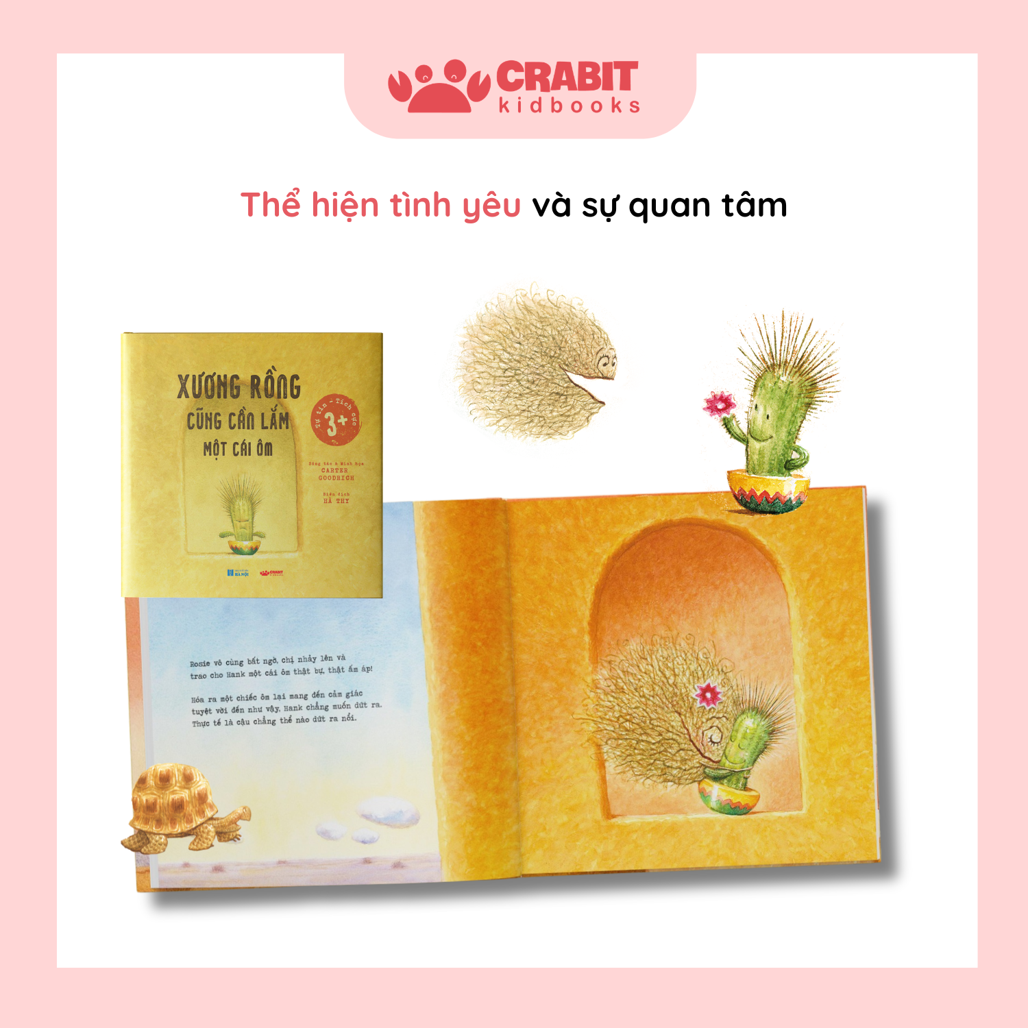 COMBO KỶ LUẬT MỀM MẠI