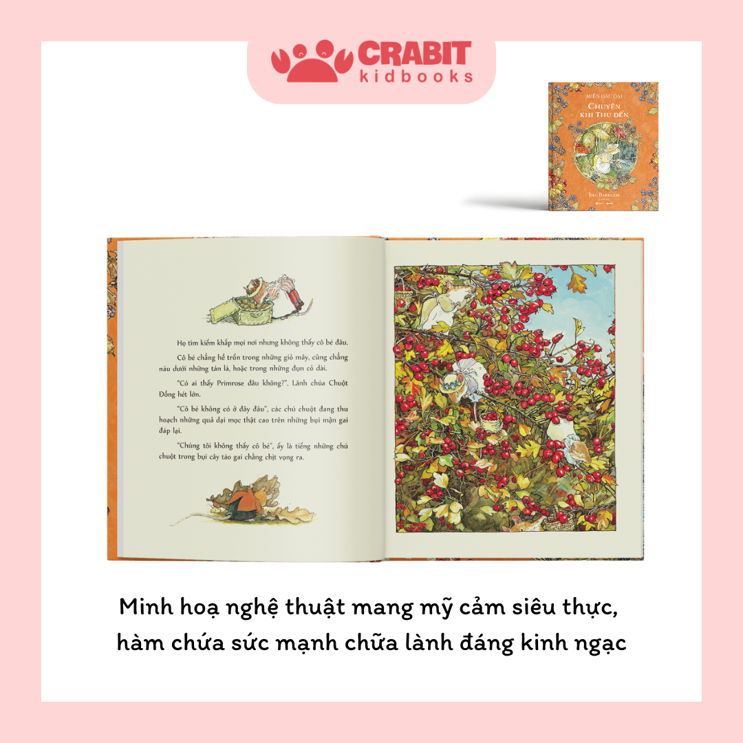 Miền Dâu Dại Bản Đặc Biệt - Bộ 8 Cuốn Box Đỏ