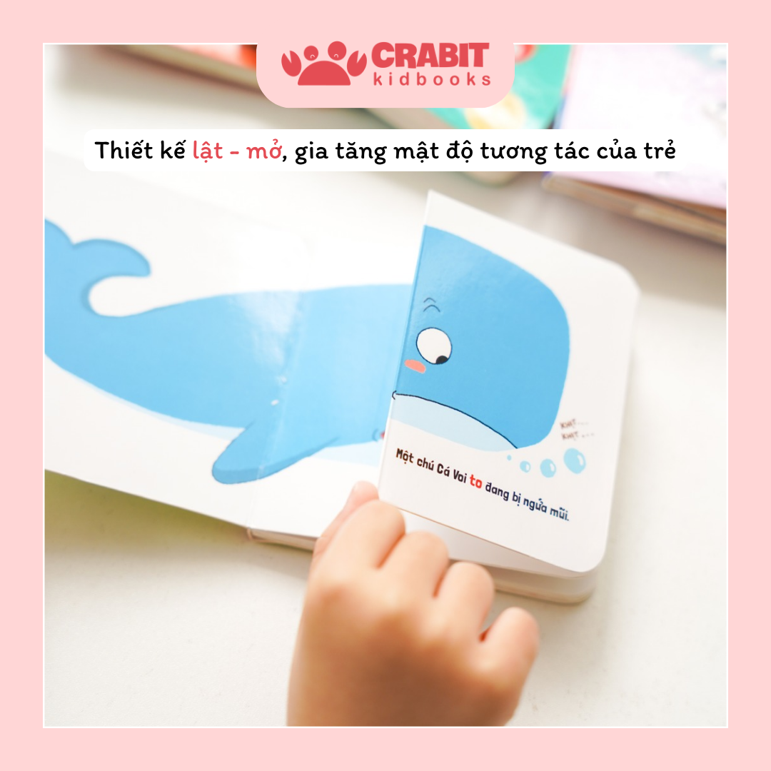 Tủ Sách Đầu Đời Của Bé - Khám Phá Kiến Thức Cơ Bản - Bộ 06 cuốn