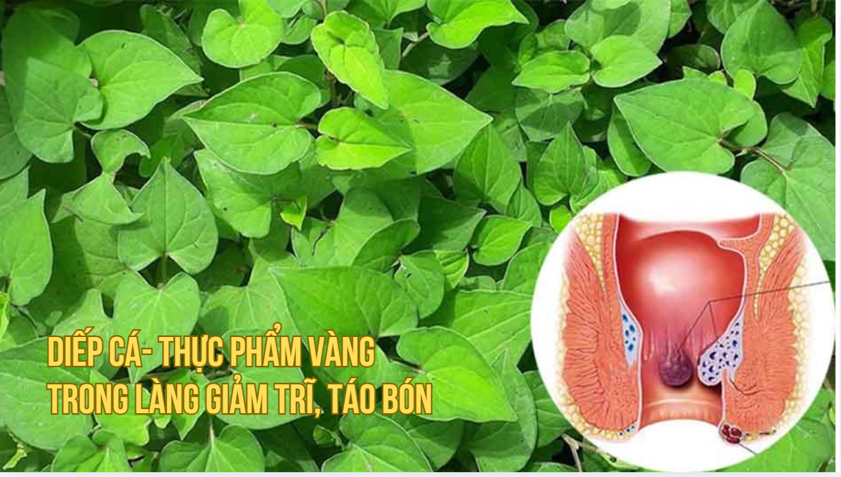 Diep-ca-thuc-pham-vang-trong-lang-giam-tri-tao-bon-3.png