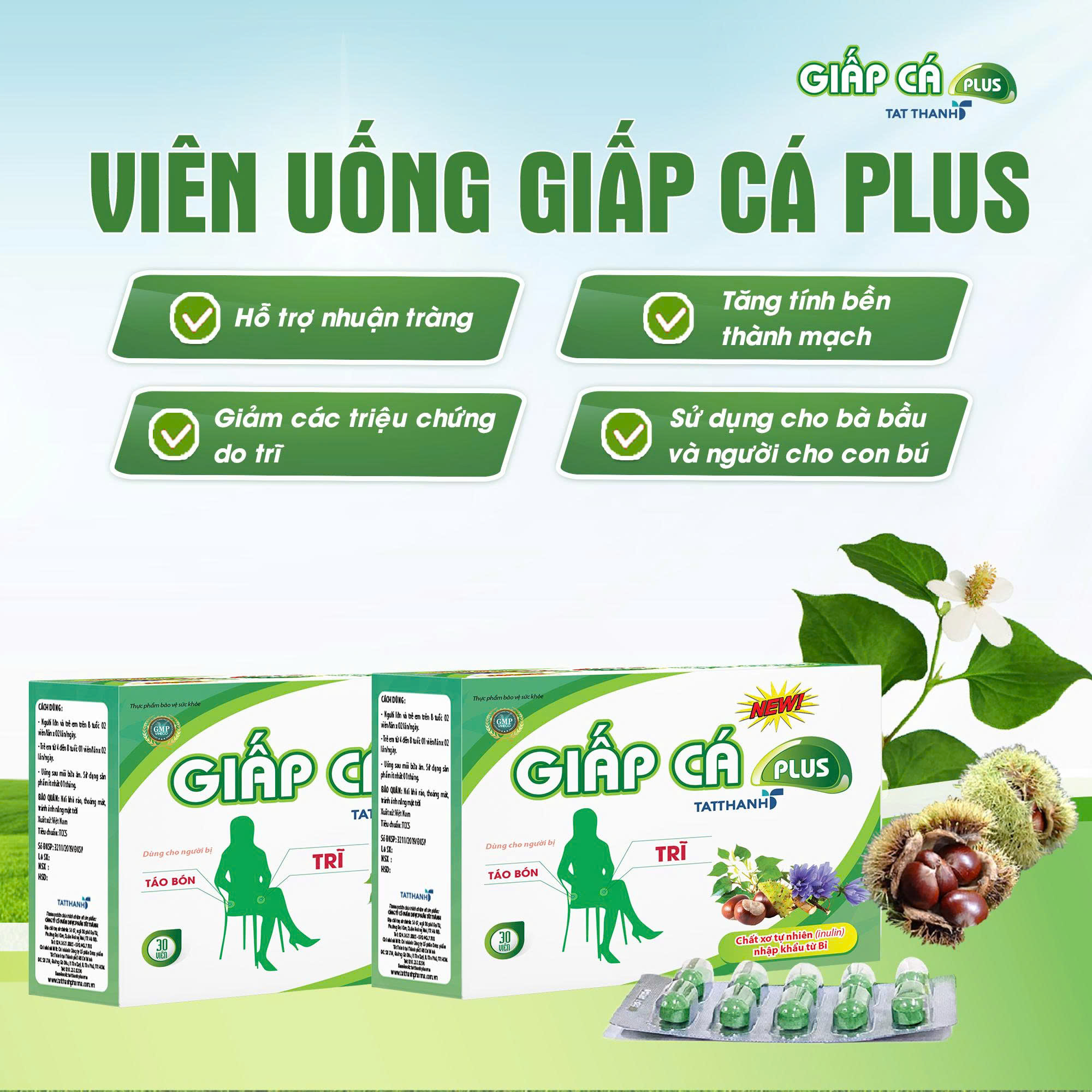 Combo 2 sản phẩm thực phẩm bảo vệ sức khoẻ Giấp cá Plus Tat Thanh