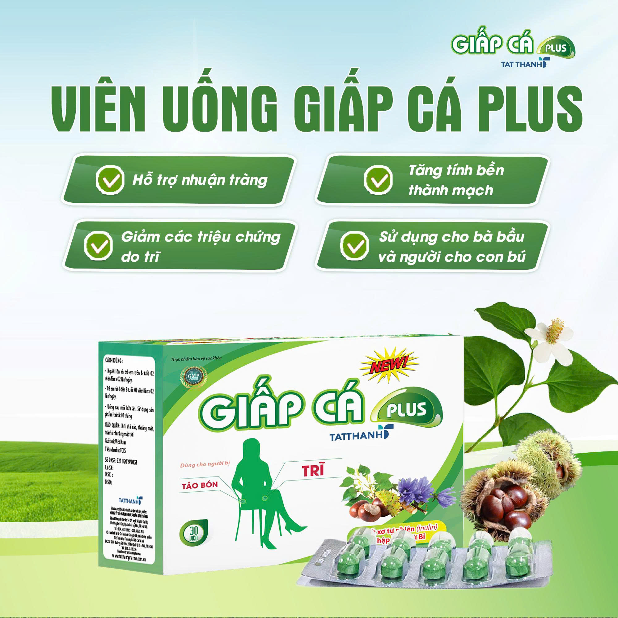 Thực phẩm bảo vệ sức khoẻ Giấp cá Plus Tat Thanh