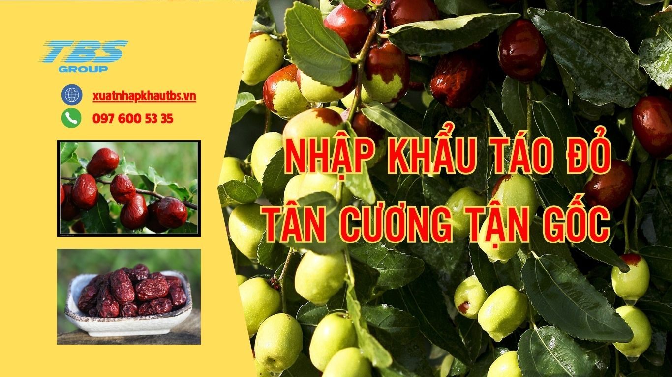 Nguồn hàng táo đỏ Tân Cương chất lượng tận gốc